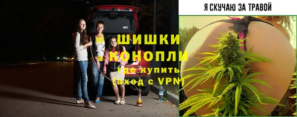ГАЛЛЮЦИНОГЕННЫЕ ГРИБЫ Нея